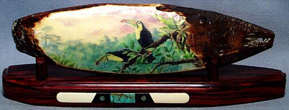 2 Toucans: full view